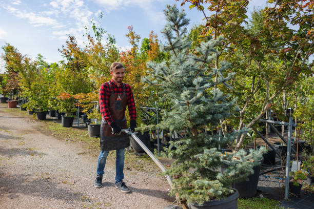 Best Seasonal Cleanup  in Middleton, WI